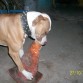 con su cono jejejee 